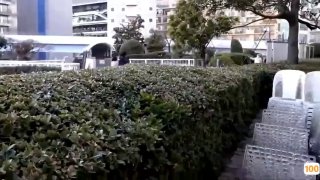天天爱天天透天天添-免费在线观看-日韩中文字幕